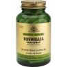 Solgar SFP Boswellia Resin Extract 60 φυτικές κάψουλες