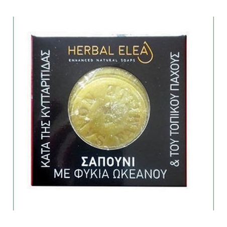 BioLeon Herbal Elea Σαπούνι με Φύκια Ωκεανού Κατά της Κυτταρίτιδας 150gr