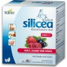 Hubner Original Silicea Direct 30x15ml Red Berry
