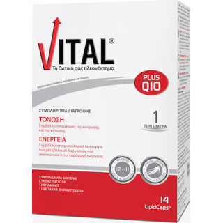 Vital Plus Q10 14 μαλακές κάψουλες
