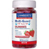 Lamberts Multi-Guard Πολυβιταμίνη Φράουλα 60 ζελεδάκια