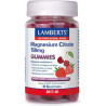 Lamberts Magnesium Citrate 150mg 40 ζελεδάκια Φράουλα